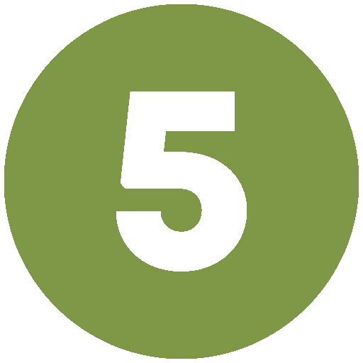 numero 5