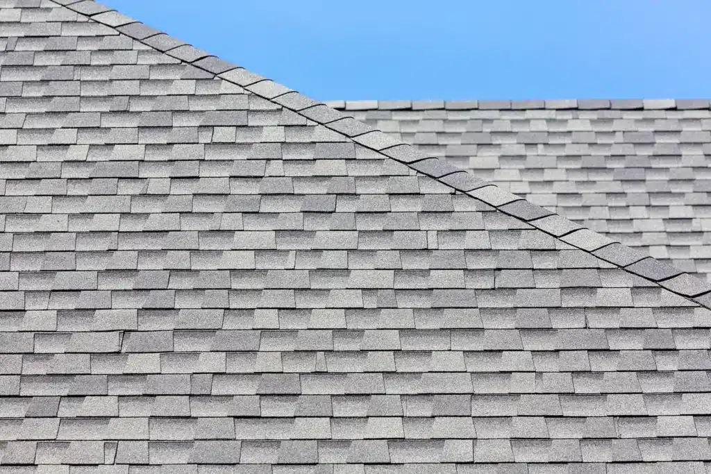 single roof 002