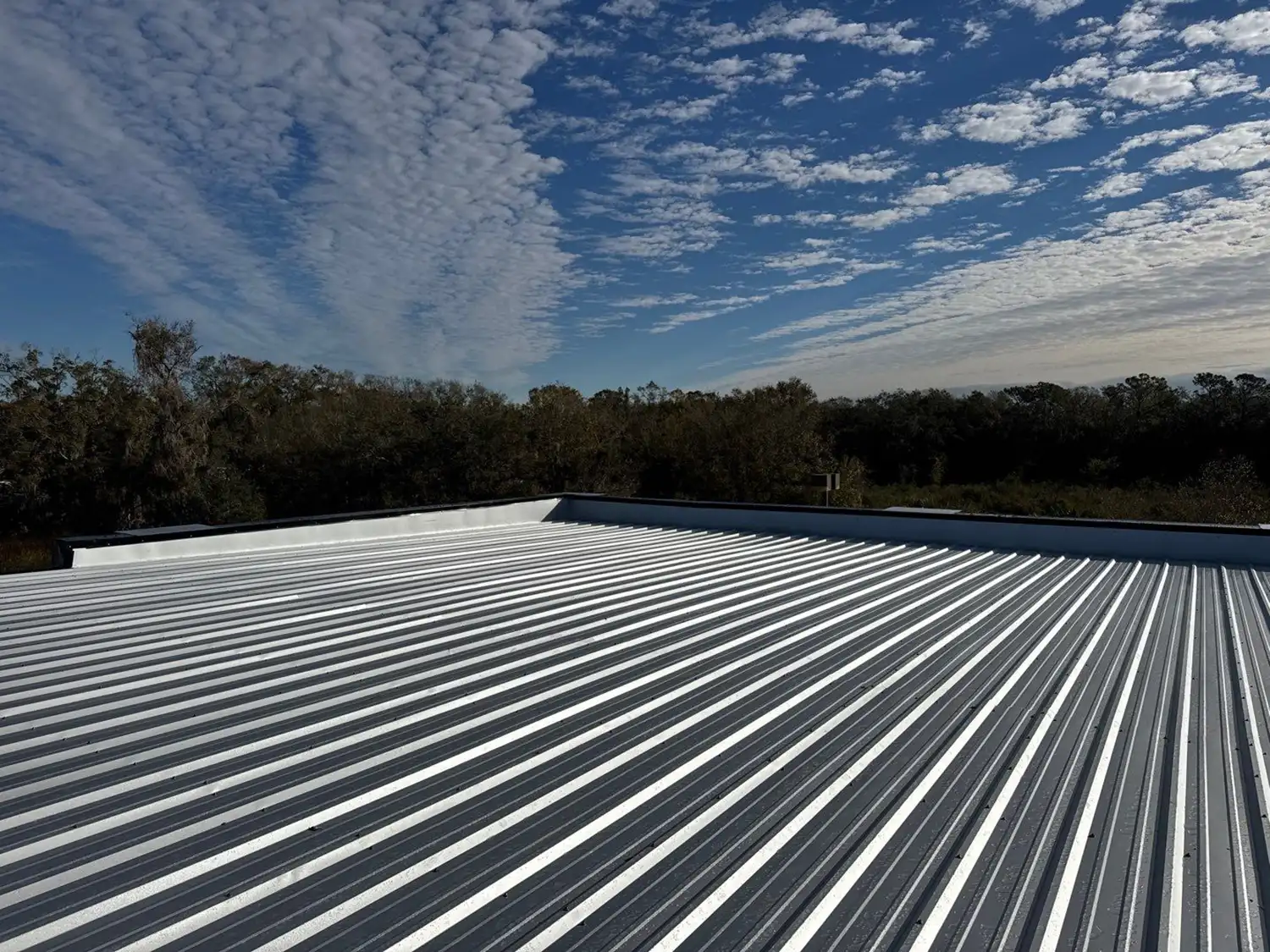 5 Jan 24 2025 09 24am 29Nm