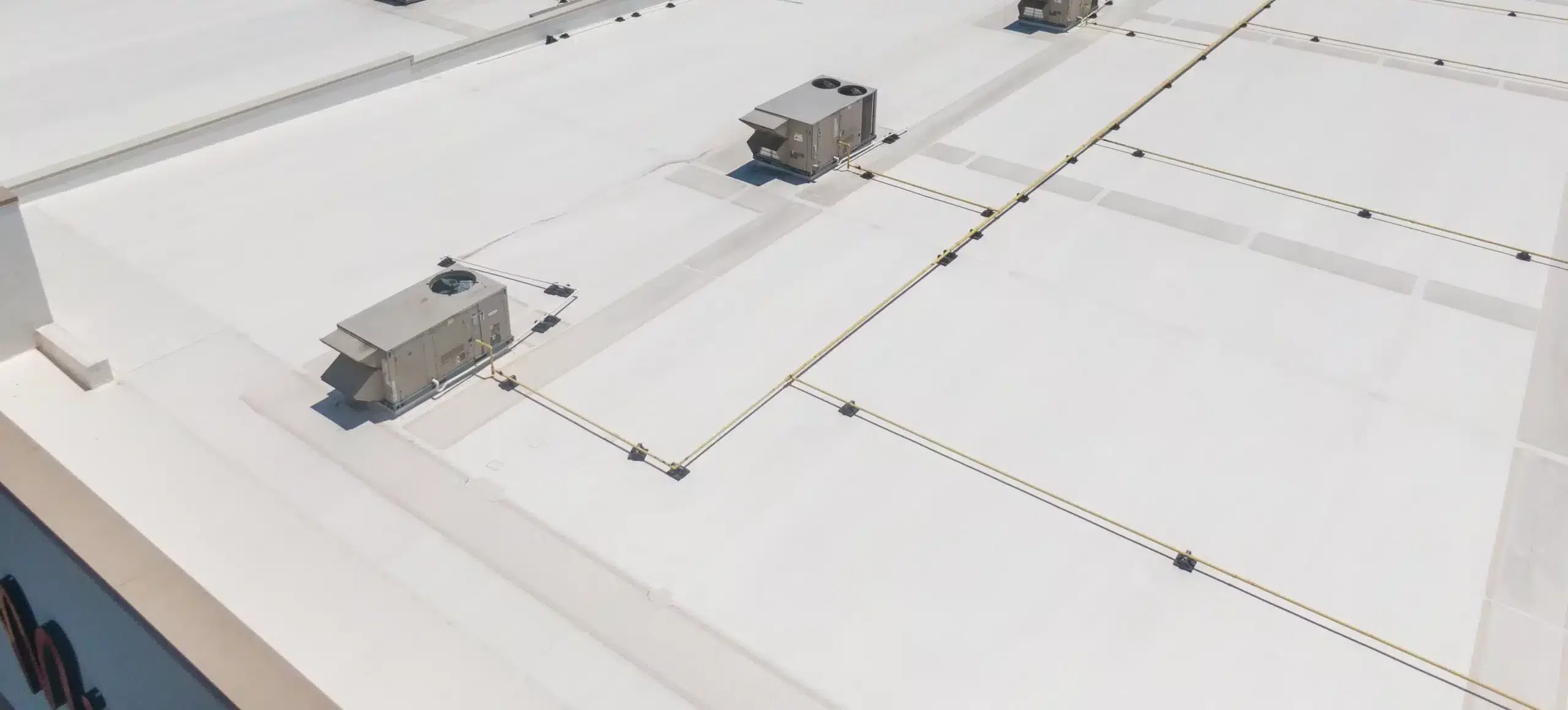 tpot roof scaled e1753708388118