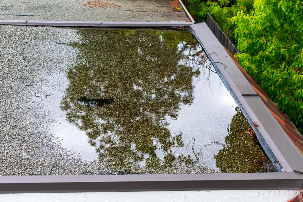 roof
